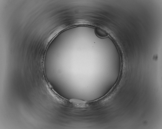 X0000113211137200910011314