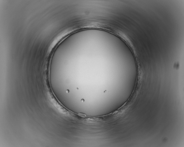 X0000113211138200910011314