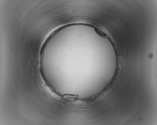 X0000113211140200910011314