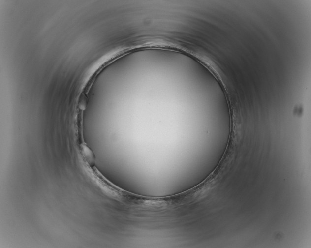 X0000113211142200910011314