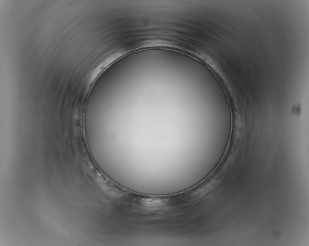 X0000113211145200910011314