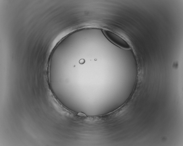 X0000113211146200910011314