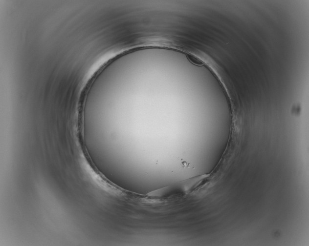 X0000113211147200910011314