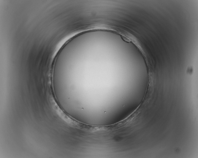 X0000113211148200910011314