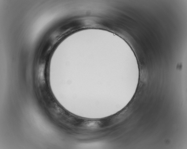 X0000113211150200910011314