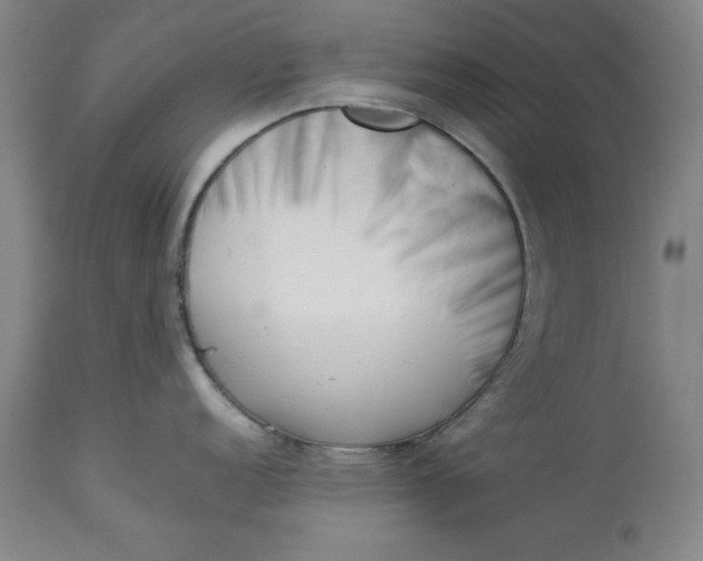 X0000113211152200910011314