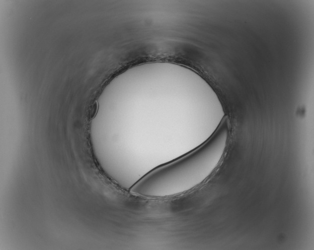 X0000113211153200910011313