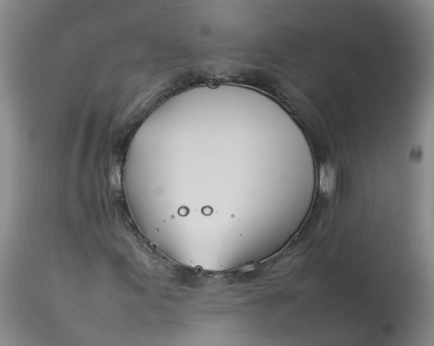 X0000113211155200910011313