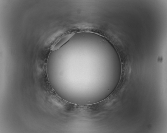 X0000113211157200910011313