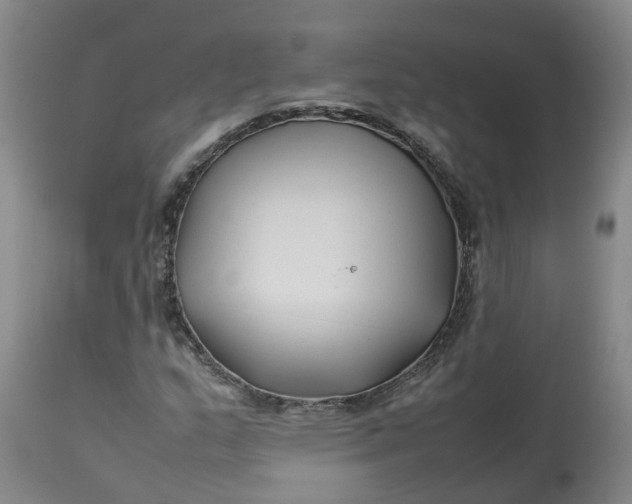 X0000113211159200910011313