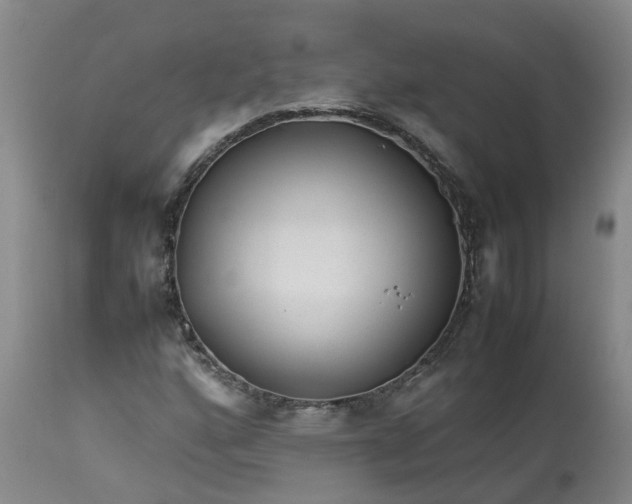 X0000113211160200910011313