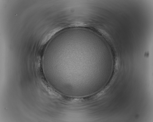 X0000113211161200910011313