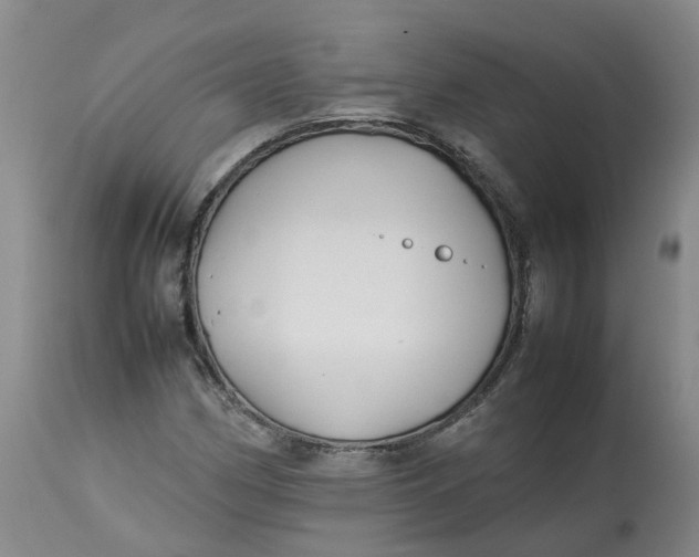 X0000113211162200910011313