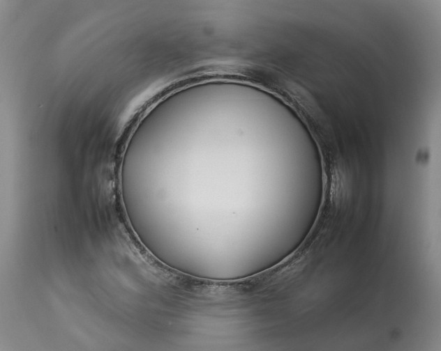 X0000113211164200910011313