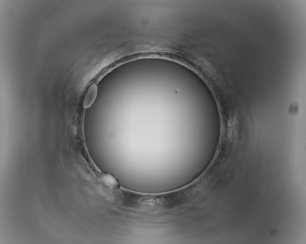 X0000113211165200910011313