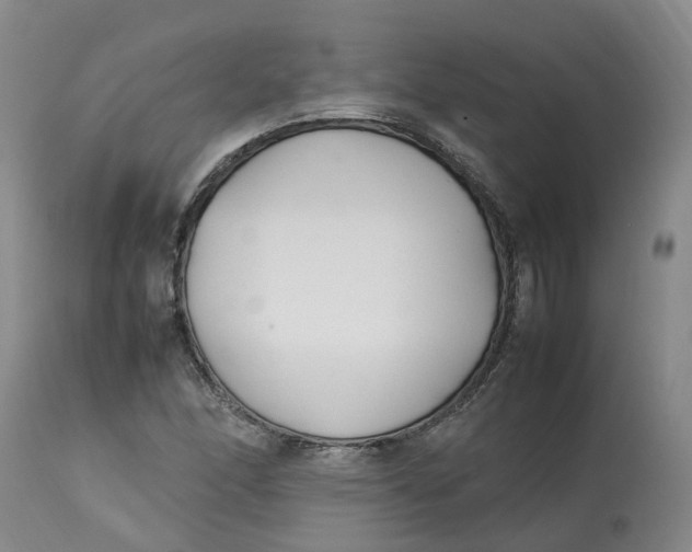 X0000113211166200910011313