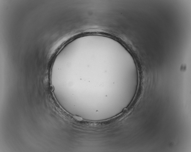 X0000113211167200910011313