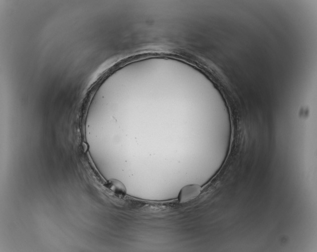 X0000113211168200910011313