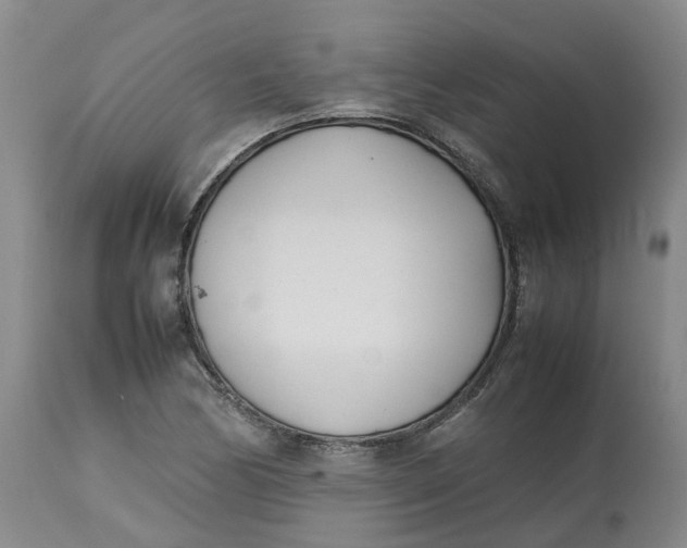 X0000113211170200910011313