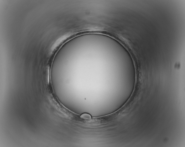 X0000113211171200910011313