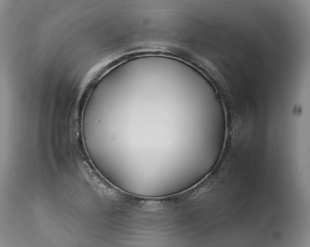 X0000113211172200910011313