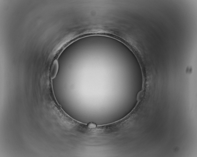 X0000113211173200910011313