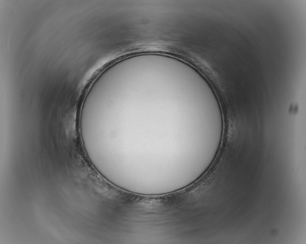 X0000113211174200910011313