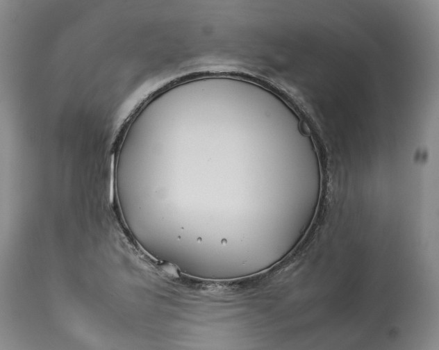 X0000113211175200910011313