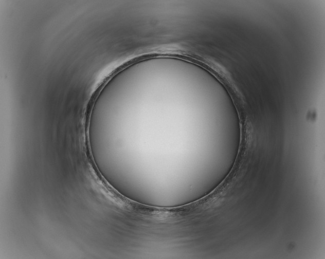 X0000113211176200910011313