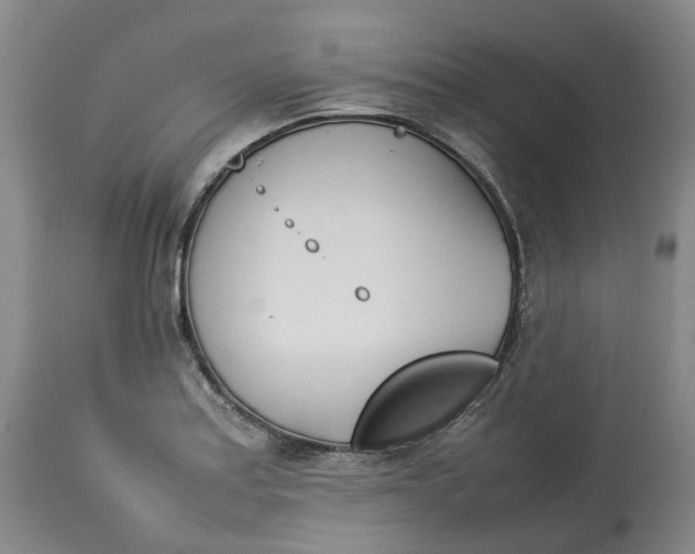 X0000113211179200910011313