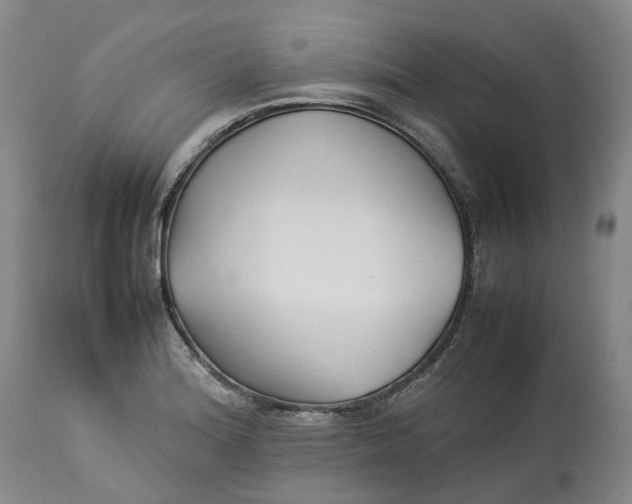 X0000113211180200910011313