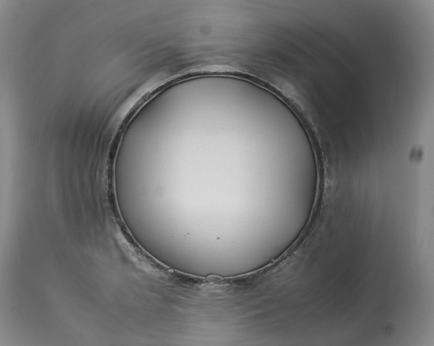 X0000113211181200910011313