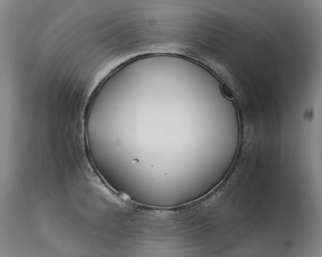 X0000113211184200910011313