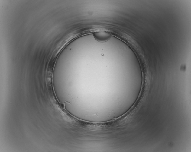 X0000113211185200910011313