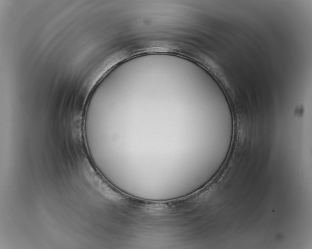 X0000113211186200910011313