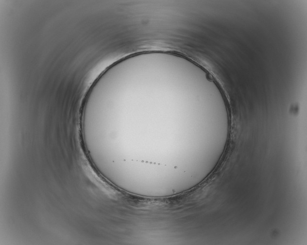 X0000113211187200910011313