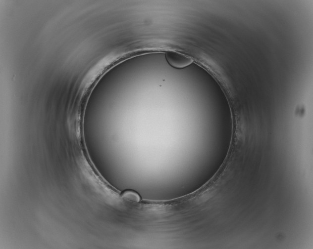 X0000113211188200910011313