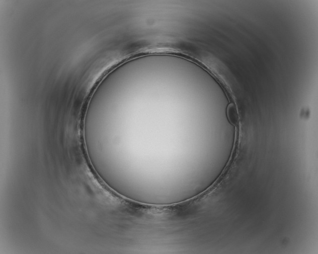 X0000113211189200910011313