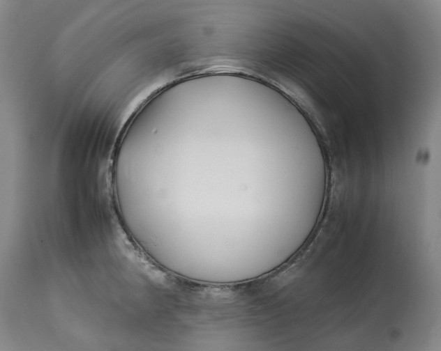 X0000113211190200910011313