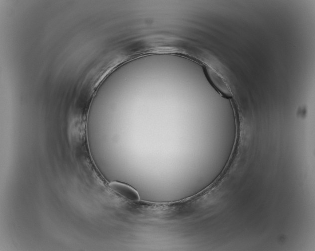 X0000113211193200910011313