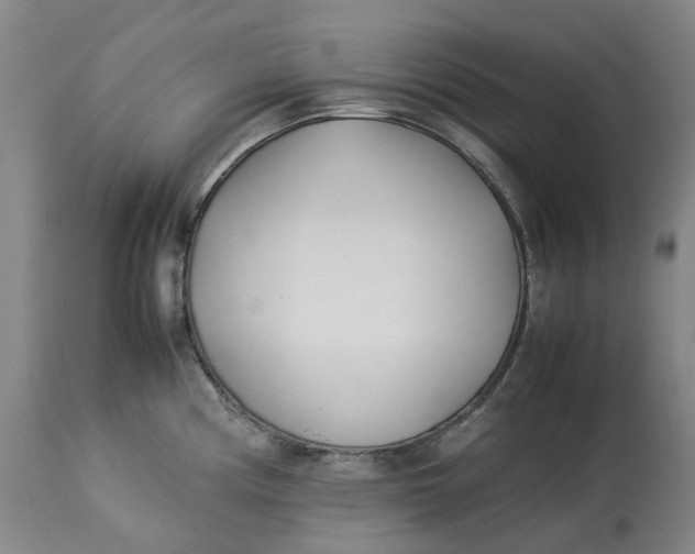 X0000113211194200910011313