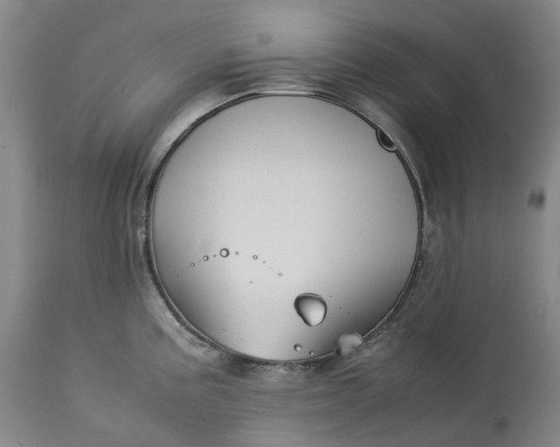 X0000113211195200910011313