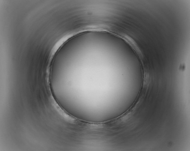 X0000113211196200910011313