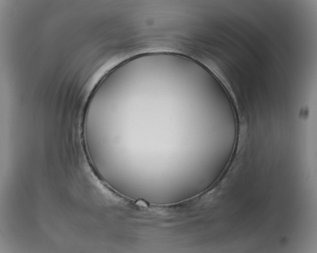 X0000113211197200910011313