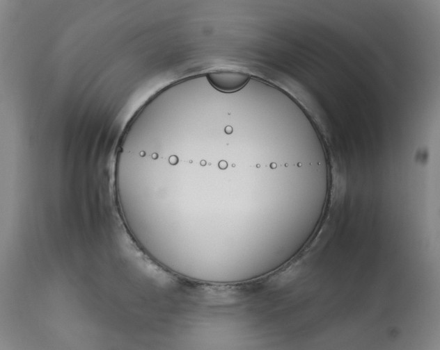 X0000113211198200910011313