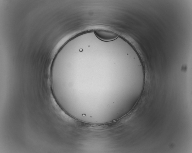 X0000113211199200910011313