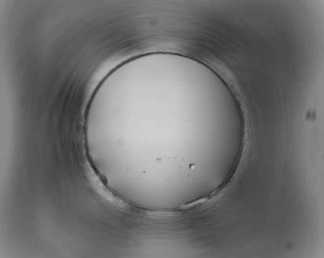 X0000113211200200910011313