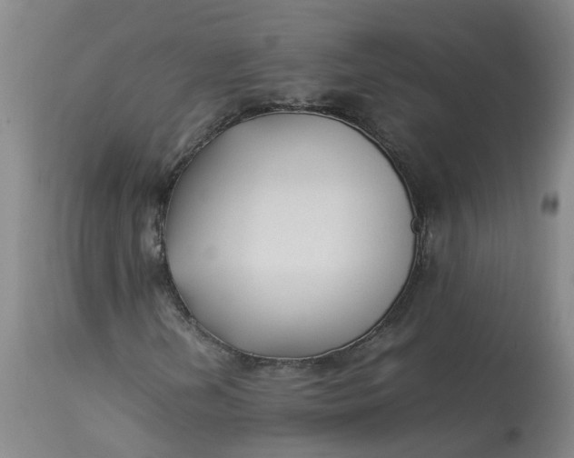 X0000113211202200910011312