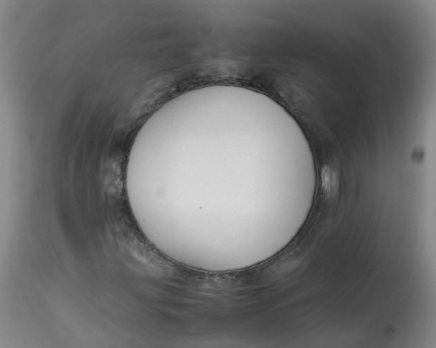 X0000113211203200910011312