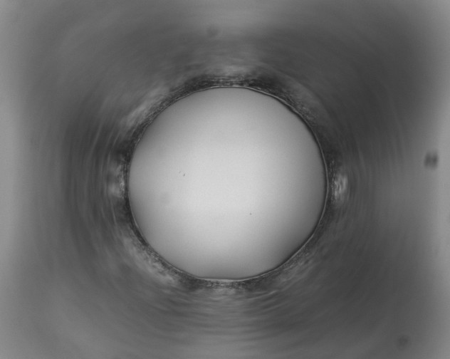 X0000113211204200910011312